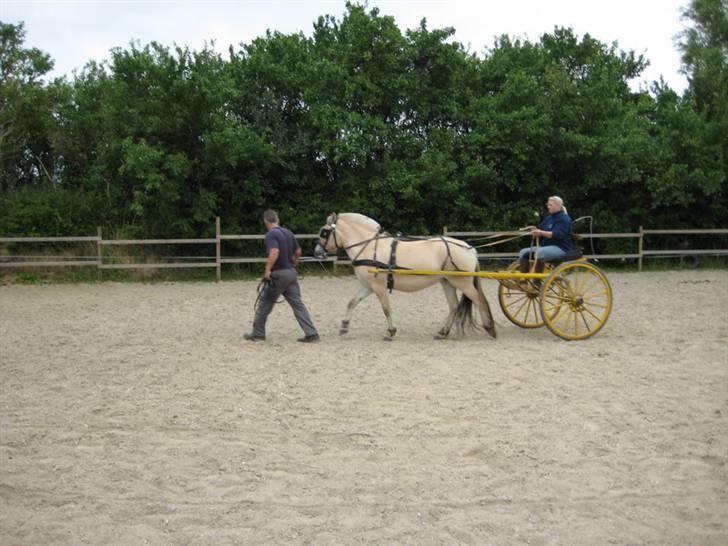 Ingegårds Doa - Det er noget underligt noget der her - synes Doa at tænke. billede 13
