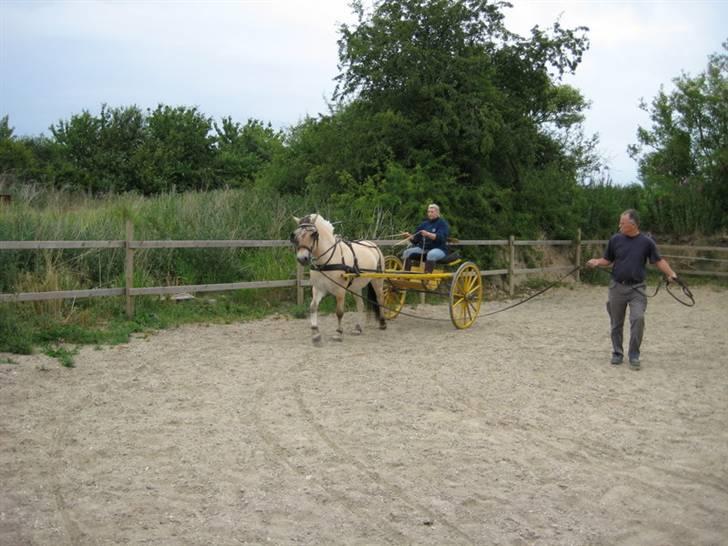 Ingegårds Doa - Det er ikke til at se, at det er første gang for Doa. billede 15
