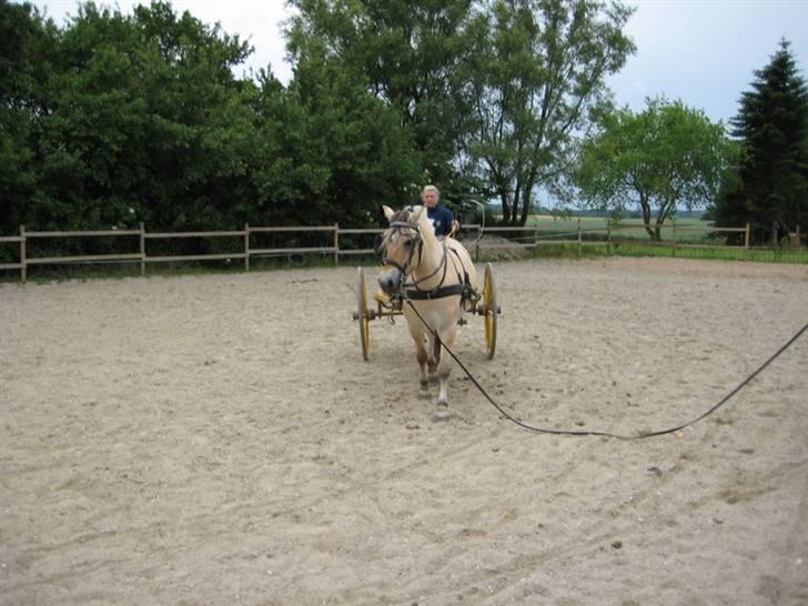 Ingegårds Doa - Longen, som er for en sikkerheds skyld, viste sig at være helt overflødig. Doa kan bare det der. billede 16
