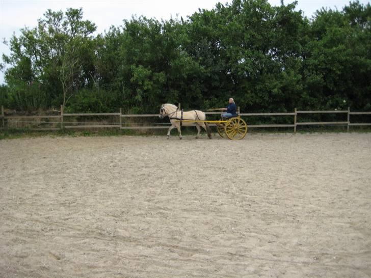 Ingegårds Doa - Det gå simpelthen forrygende billede 17