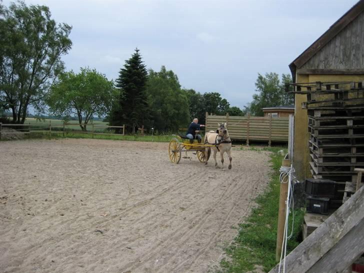 Ingegårds Doa - Hverken Julie eller Doa ligner nybegyndere. billede 19