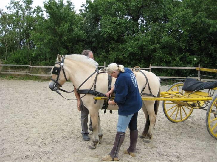 Ingegårds Doa - Tak for turen. billede 20
