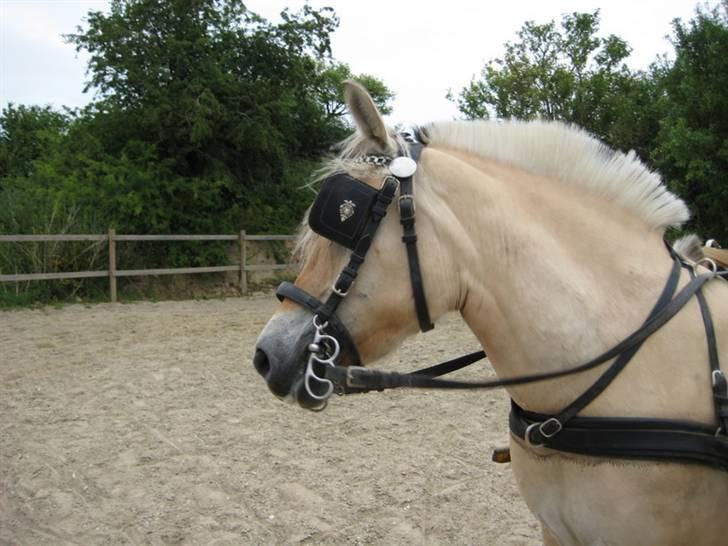 Ingegårds Doa - Jeg ved ikke om det er fedt at jeg skal stå her og vente mens min mor tager billeder. billede 21