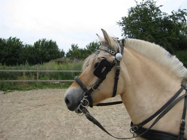 Ingegårds Doa - OK så et mere. billede 23