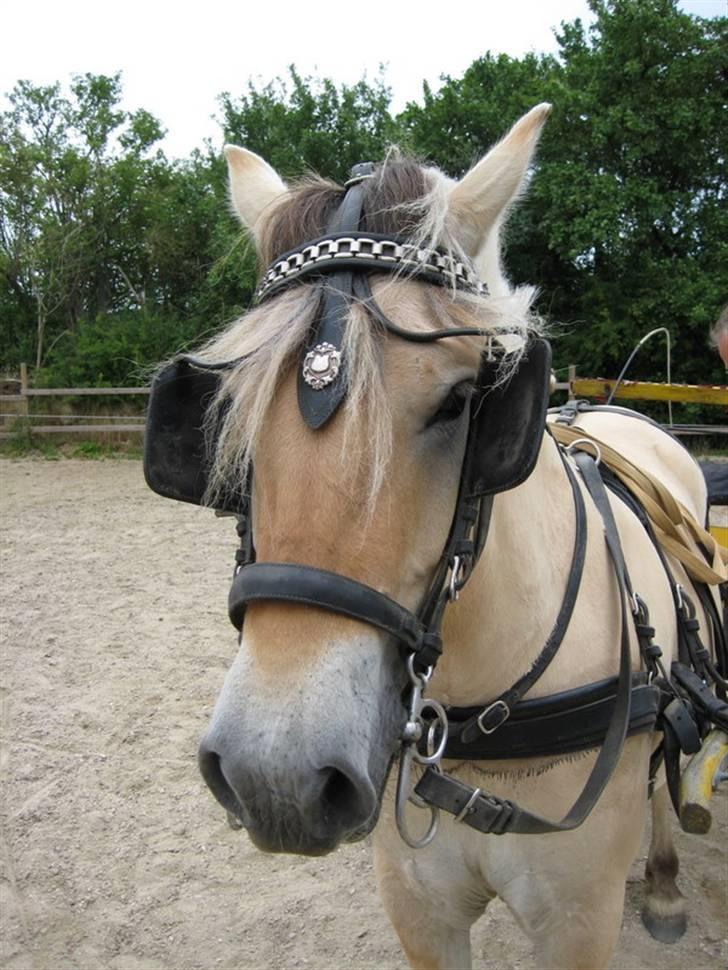 Ingegårds Doa - Nu er jeg altså også træt. billede 24