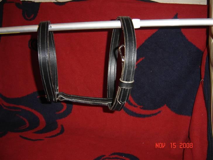 Lædersjov - Hesteting - Denne grime er str full den bliver lavt som man havde dem i gamle dage... jeg er ikke helt færdig med den der mangler sidestykker og så mangler hullerne hvor spændet sidder (og så skal jeg have set på at have lavt hals stykket noget længere da det lige er til den korte side....) Den skulle gerne være til Tamra... det er det første jeg har lavt... og tro mig det tager LANG tid at lave sådan en... hvert sting er lavet i hånden *SS* billede 21