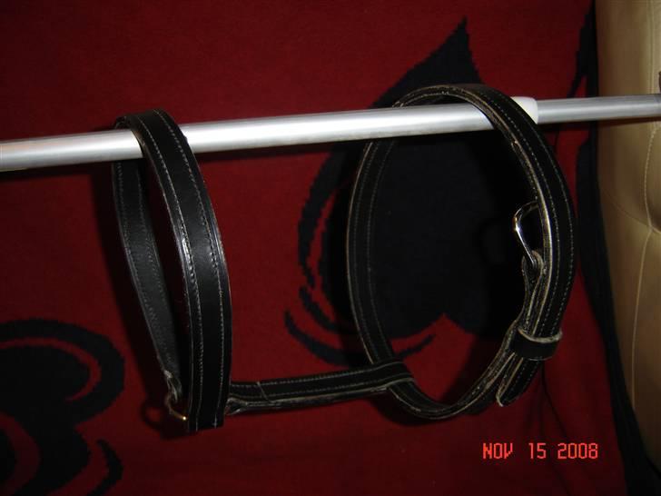 Lædersjov - Hesteting - Denne grime er str full den bliver lavt som man havde dem i gamle dage... jeg er ikke helt færdig med den der mangler sidestykker og så mangler hullerne hvor spændet sidder (og så skal jeg have set på at have lavt hals stykket noget længere da det lige er til den korte side....) Den skulle gerne være til Tamra... det er det første jeg har lavt... og tro mig det tager LANG tid at lave sådan en... hvert sting er lavet i hånden *SS* billede 22