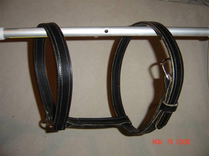 Lædersjov - Hesteting - Denne grime er str full den bliver lavt som man havde dem i gamle dage... jeg er ikke helt færdig med den der mangler sidestykker og så mangler hullerne hvor spændet sidder (og så skal jeg have set på at have lavt hals stykket noget længere da det lige er til den korte side....) Den skulle gerne være til Tamra... det er det første jeg har lavt... og tro mig det tager LANG tid at lave sådan en... hvert sting er lavet i hånden *SS* billede 23