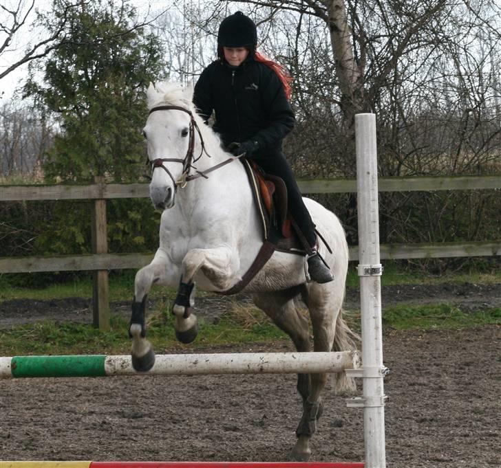 Mit fotoalbum - Her er vi over springet, jeg er meget koncentreret.. billede 4