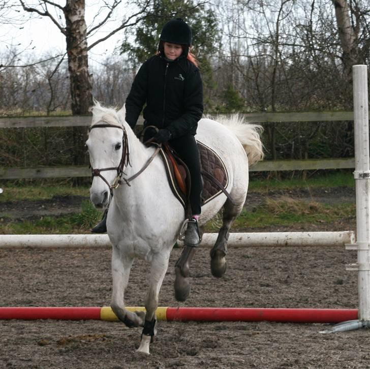 Mit fotoalbum - Chivas og jeg er lige landet, men jeg er stadig koncentreret.. billede 5