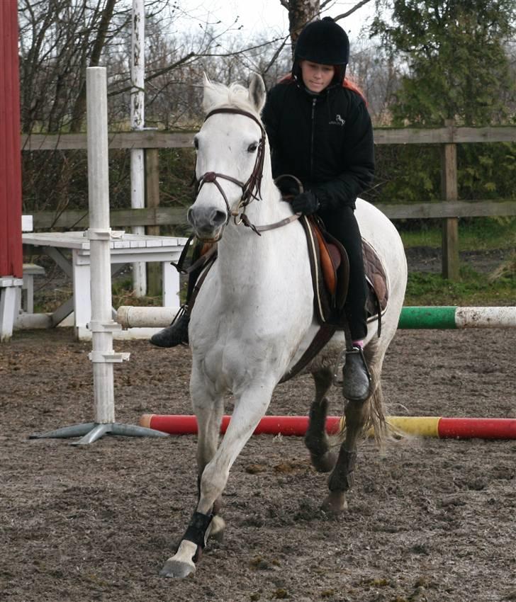 Mit fotoalbum - Chivas og jeg er på vej væk fra springet.. billede 6