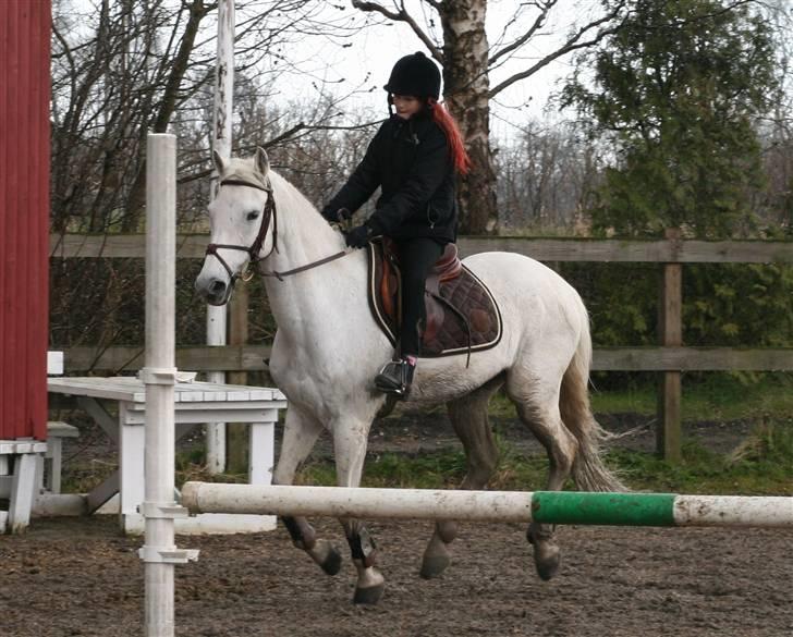 Mit fotoalbum - Her traver vi forbi springet... billede 7