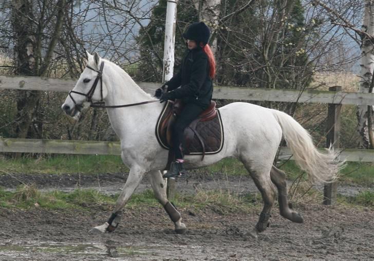 Mit fotoalbum - Her rider vi lidt for stærkt hen mod springet, men vi kom over.!! billede 8