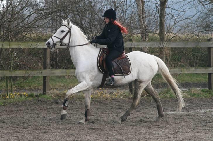 Mit fotoalbum - Det sammen her, vi er på vej hen til springet!! billede 11