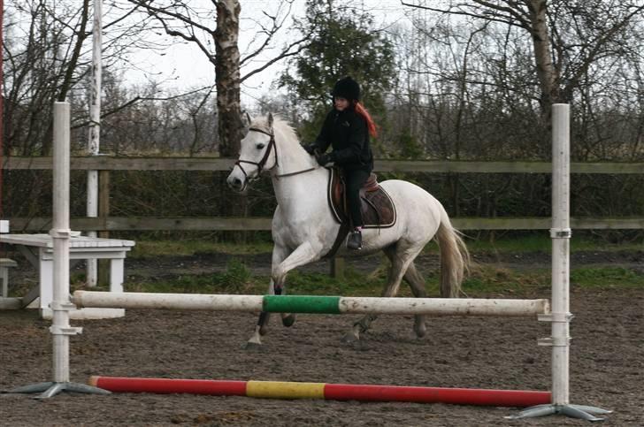 Mit fotoalbum - Vi rider en rundte rundt om springet.!! billede 12