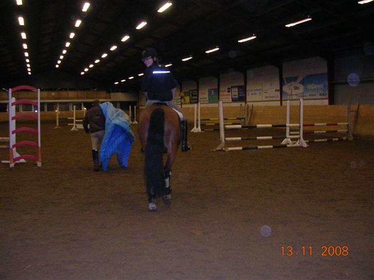 Springtime ved Bjarne Mark (: billede 1