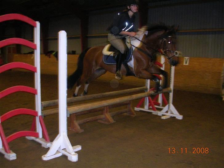 Springtime ved Bjarne Mark (: billede 2