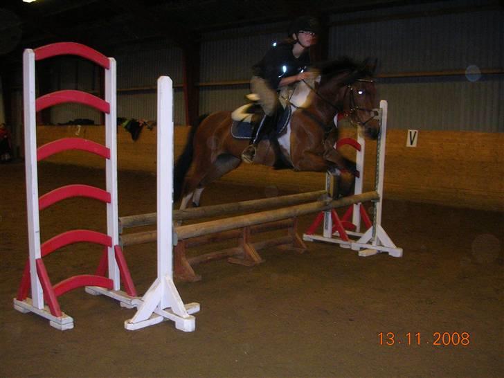 Springtime ved Bjarne Mark (: billede 3