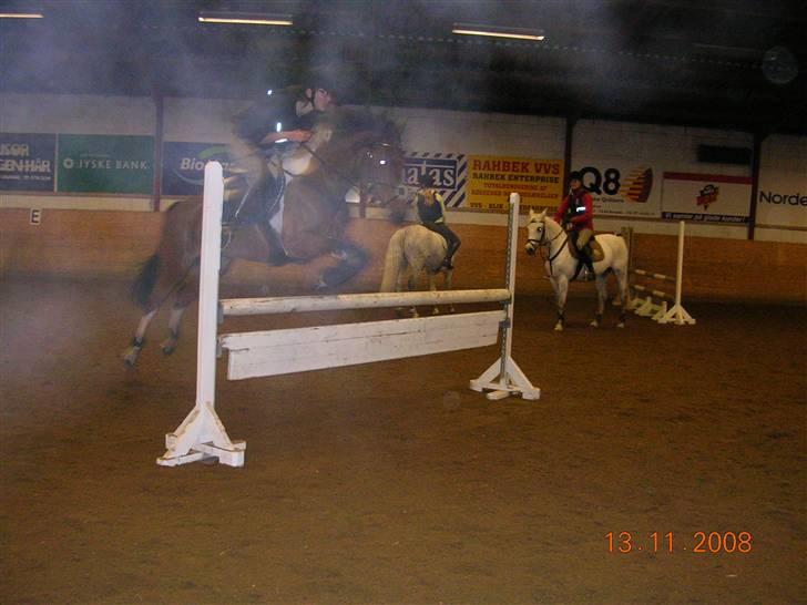 Springtime ved Bjarne Mark (: - Lidt sløret ;s
 billede 4