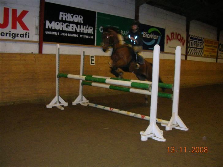 Springtime ved Bjarne Mark (: - Troede ikke hun ville sætte af .. derfor jeg ikke følger med hend :b
 billede 5