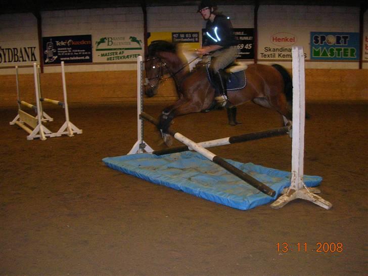 Springtime ved Bjarne Mark (: billede 6