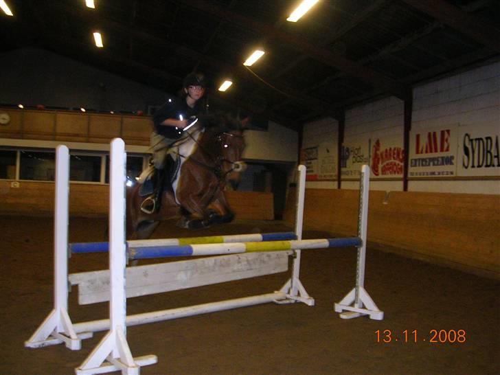 Springtime ved Bjarne Mark (: billede 7