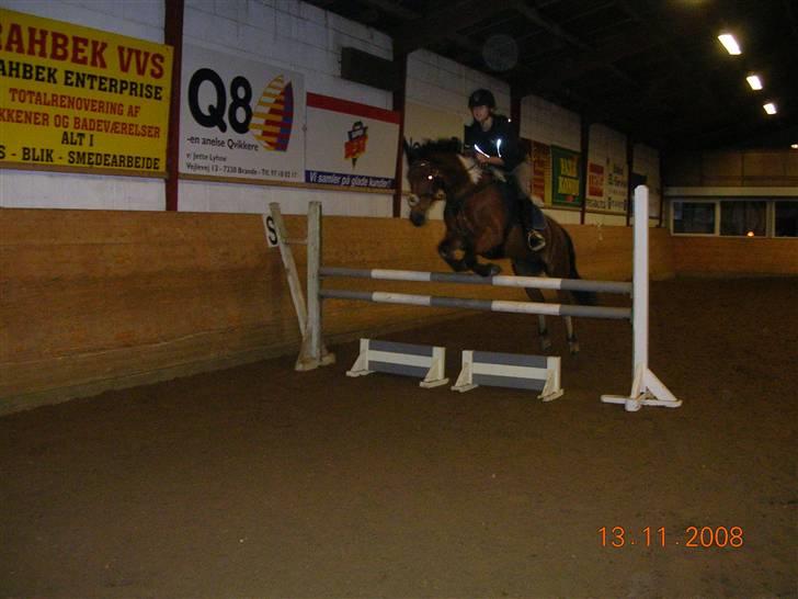 Springtime ved Bjarne Mark (: billede 10