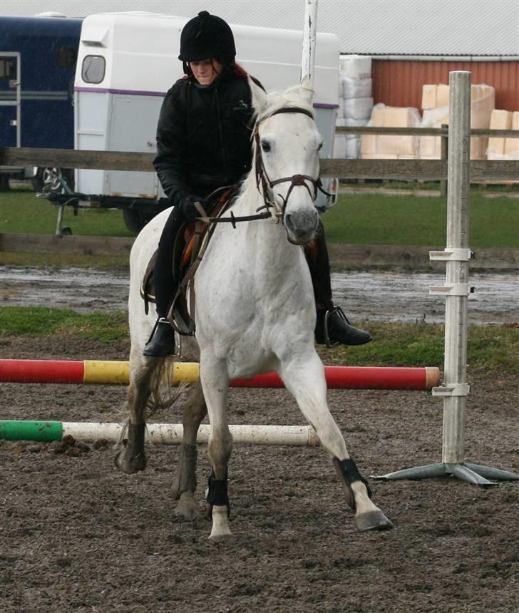 Mit fotoalbum - Her er vi lige landet fra springet..... billede 15