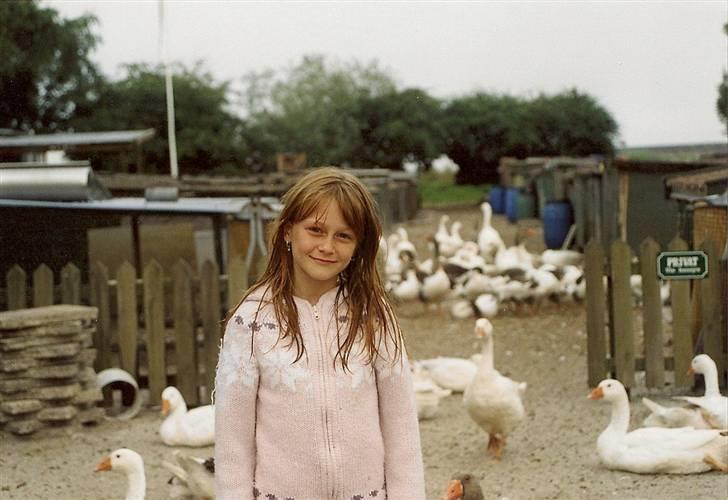 Mit fotoalbum - Der er så mig som står i en by af gæs. (gåsebyen) billede 16