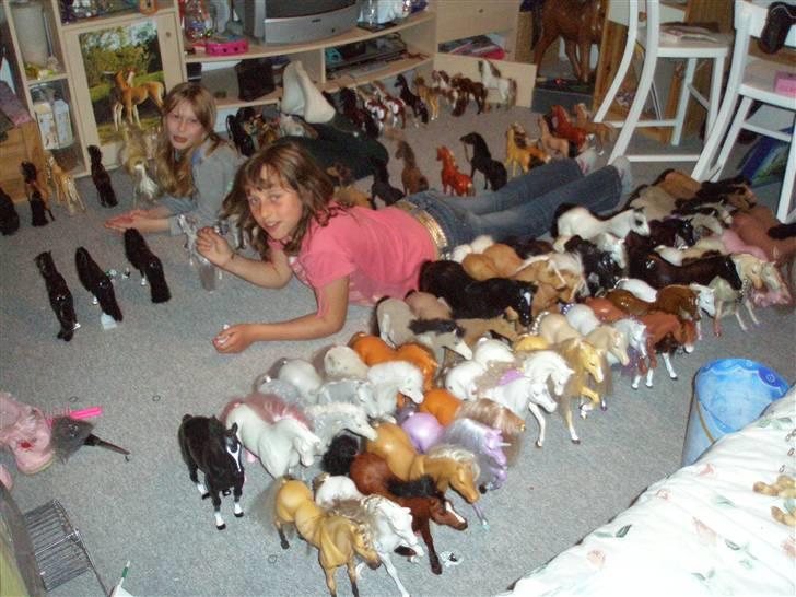 Mit fotoalbum - Min hjerte veninde og jeg og vores rigtig mange heste billede 35