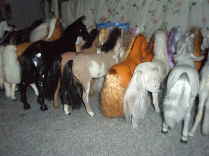Mit fotoalbum - Her er vores heste igen, der er ikke så mange som der er på hele gulvet!! hehehe billede 37