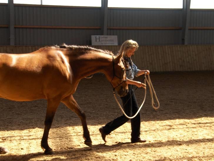 Ute Lehmann -Demo billede 1