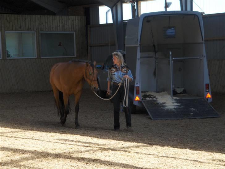 Ute Lehmann -Demo billede 2