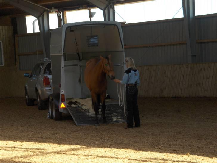 Ute Lehmann -Demo billede 3