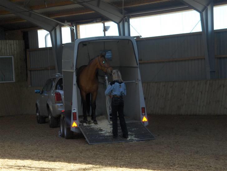 Ute Lehmann -Demo billede 4