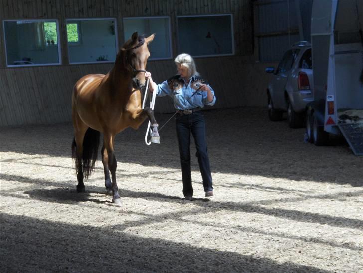 Ute Lehmann -Demo billede 5