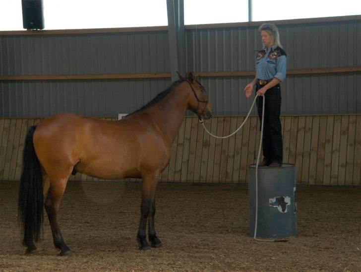 Ute Lehmann -Demo billede 6