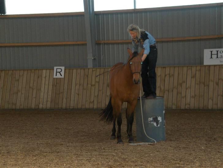 Ute Lehmann -Demo billede 7