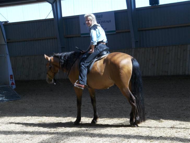 Ute Lehmann -Demo billede 8