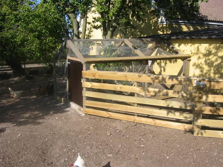 Min dejlig næsebjørn :)  - Mit fine udendøres bur :) billede 5