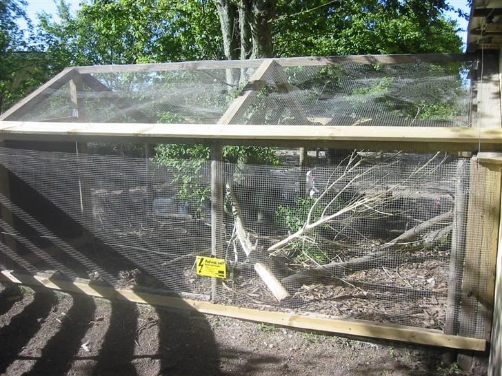 Min dejlig næsebjørn :)  - Her bor jeg! :) skønt billede 11