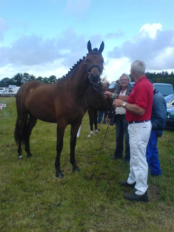 Billeder fra mit arbejde på stald sakstrup. - Diva til Hjørring dyreskue.. DV hoppe fra 2006. billede 28
