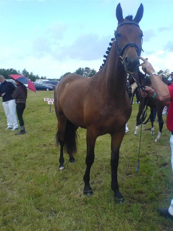 Billeder fra mit arbejde på stald sakstrup. billede 29