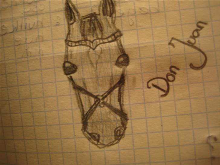 Tegninger  xD - 3} Don juan efter hukommelse xD . vinter ´07, tror jeg. billede 2