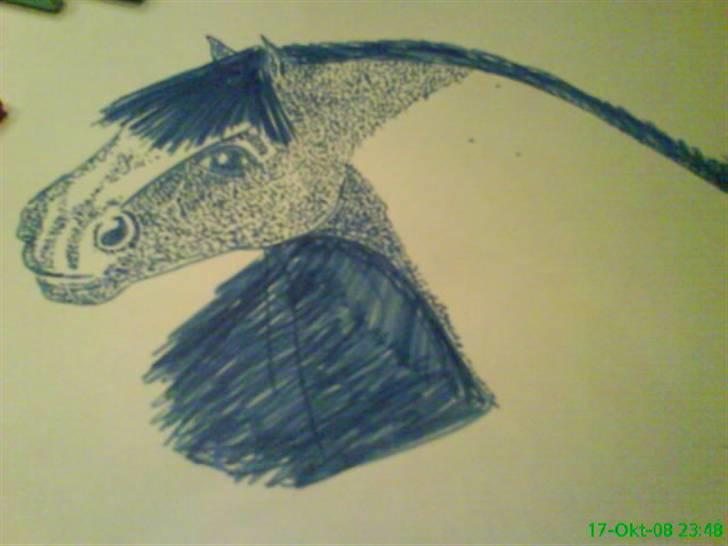 Tegninger - Hest (tush tegning) billede 22