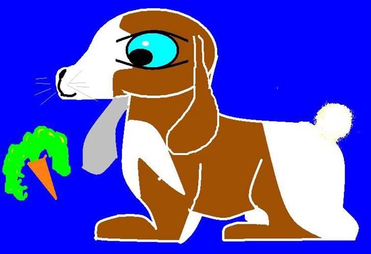 Tegninger - Kanin billede 23