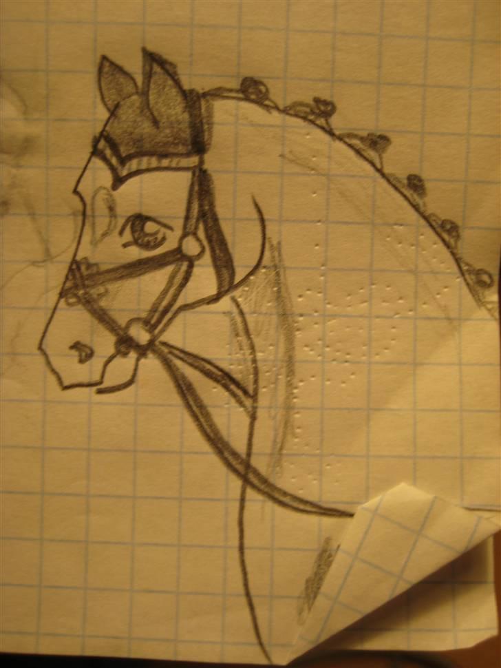 Tegninger  xD - 5} hurtig hest. forår '08', tror jeg. billede 4