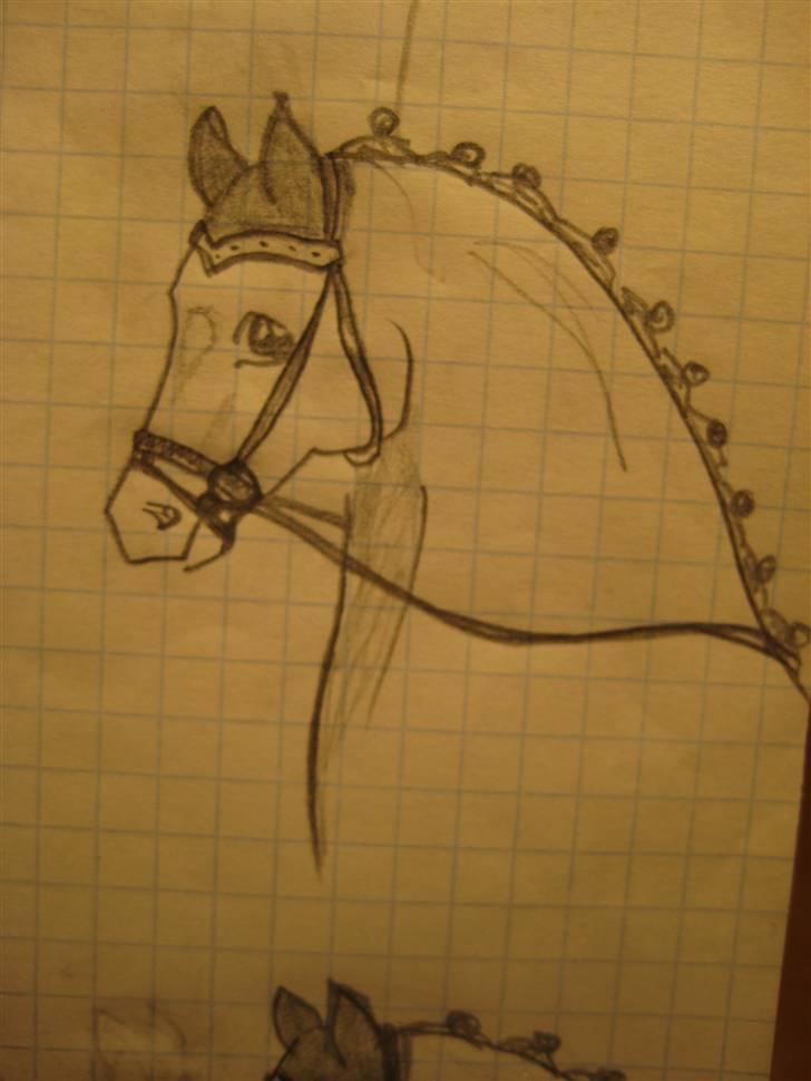 Tegninger  xD - 6} hurtig hest. forår '08, tror jeg. billede 5