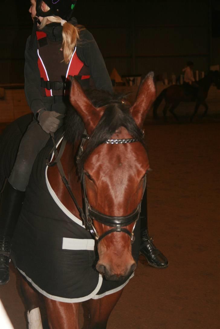 Til Molly og Mette Maj billede 4