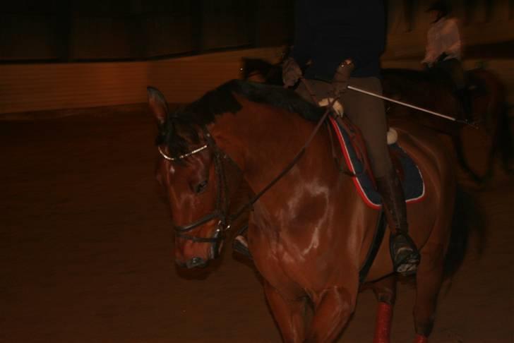 Til Molly og Mette Maj billede 7